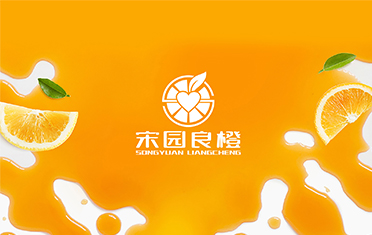 某良橙——淮安LOGO设计